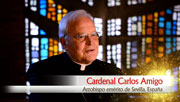 Cardenal-Carlos-Amigo-(Efecto-Francisco)